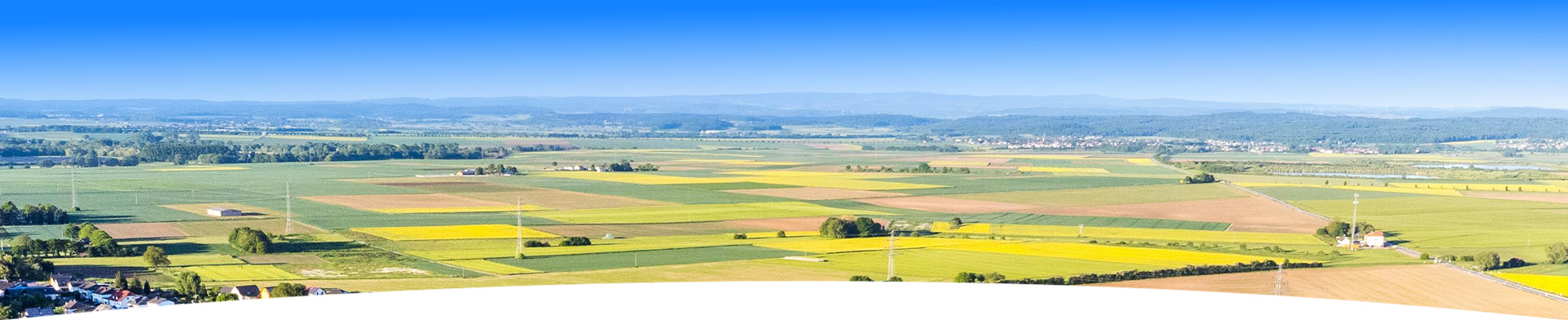 73ebf2329762b0b380ecb497025268e2