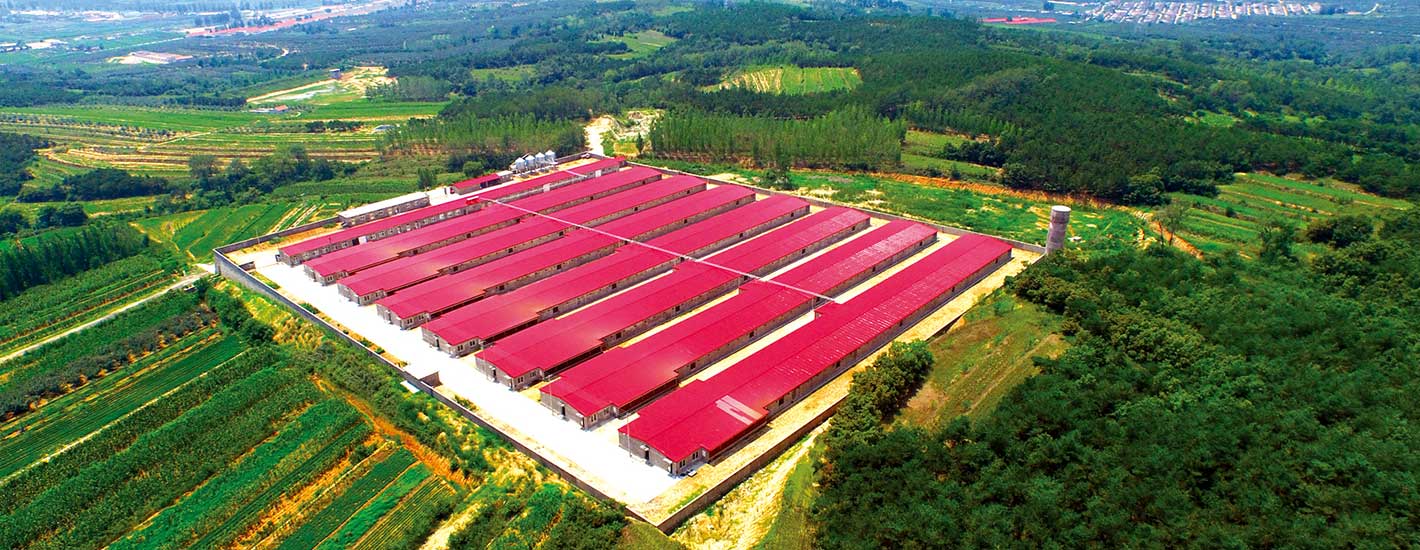 0617b81781d80f5293df5c32cc257498