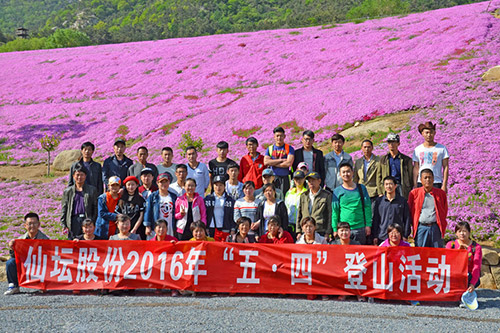 9221de5e6a8b189c96c0c6dd902423d0