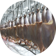 09bc7729b38e8c6880a045e7d001c7ee