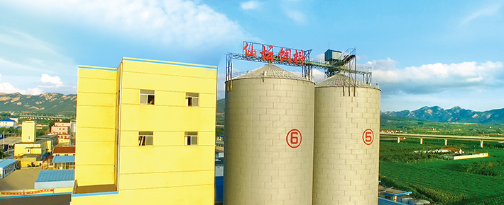 543f8438a04260ef2ca6976084ab5e64