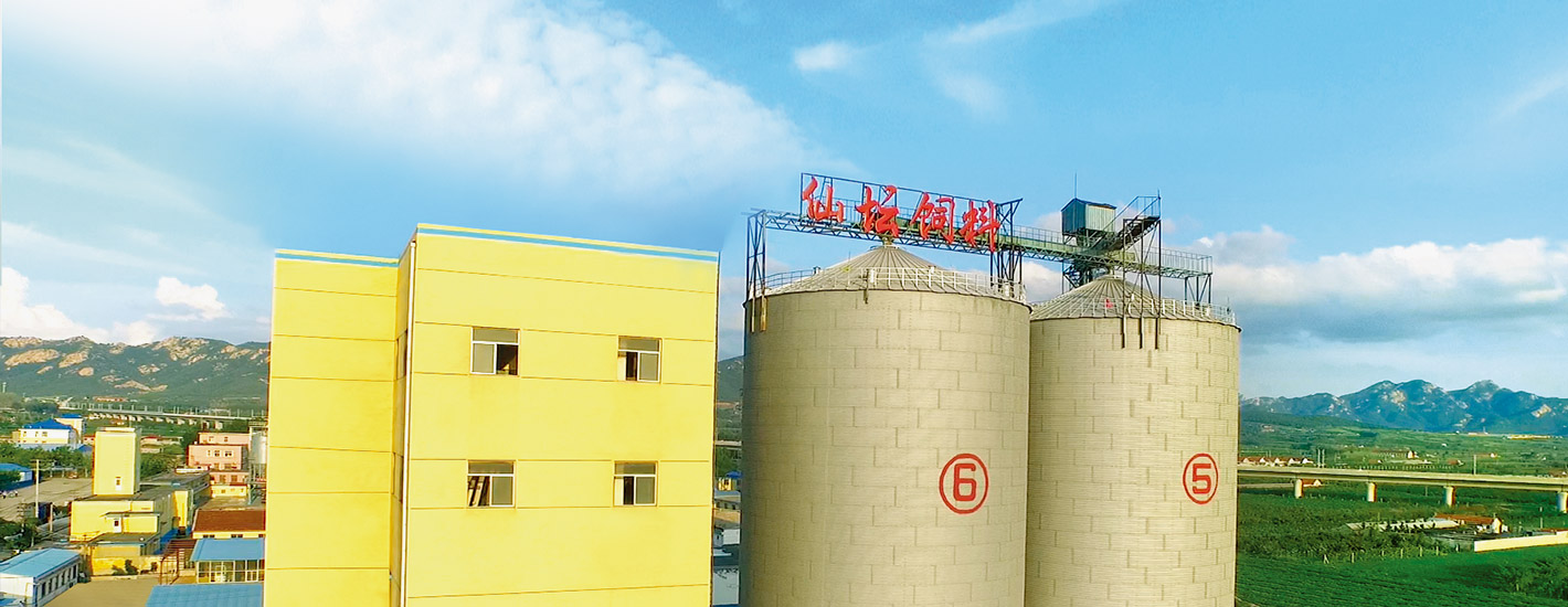 e6557a7b4201fe787aef2e45e4cfb85d