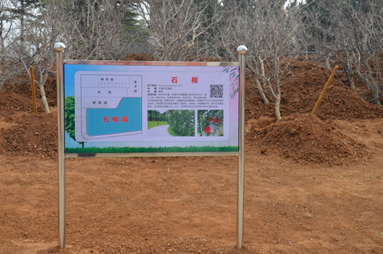 63022feb9aa36808dea2f4fd199fe21d