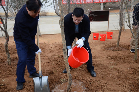 8dab8f85f95a8ae85e002de1a55d7929